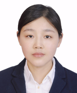 Dr. Haikun Qi