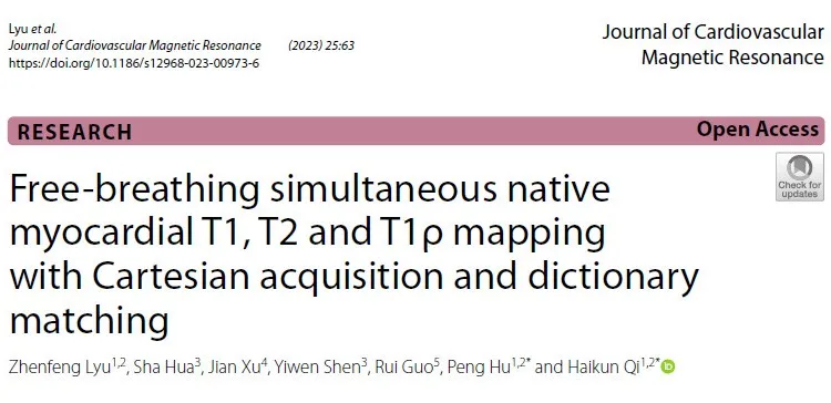 Publication 1