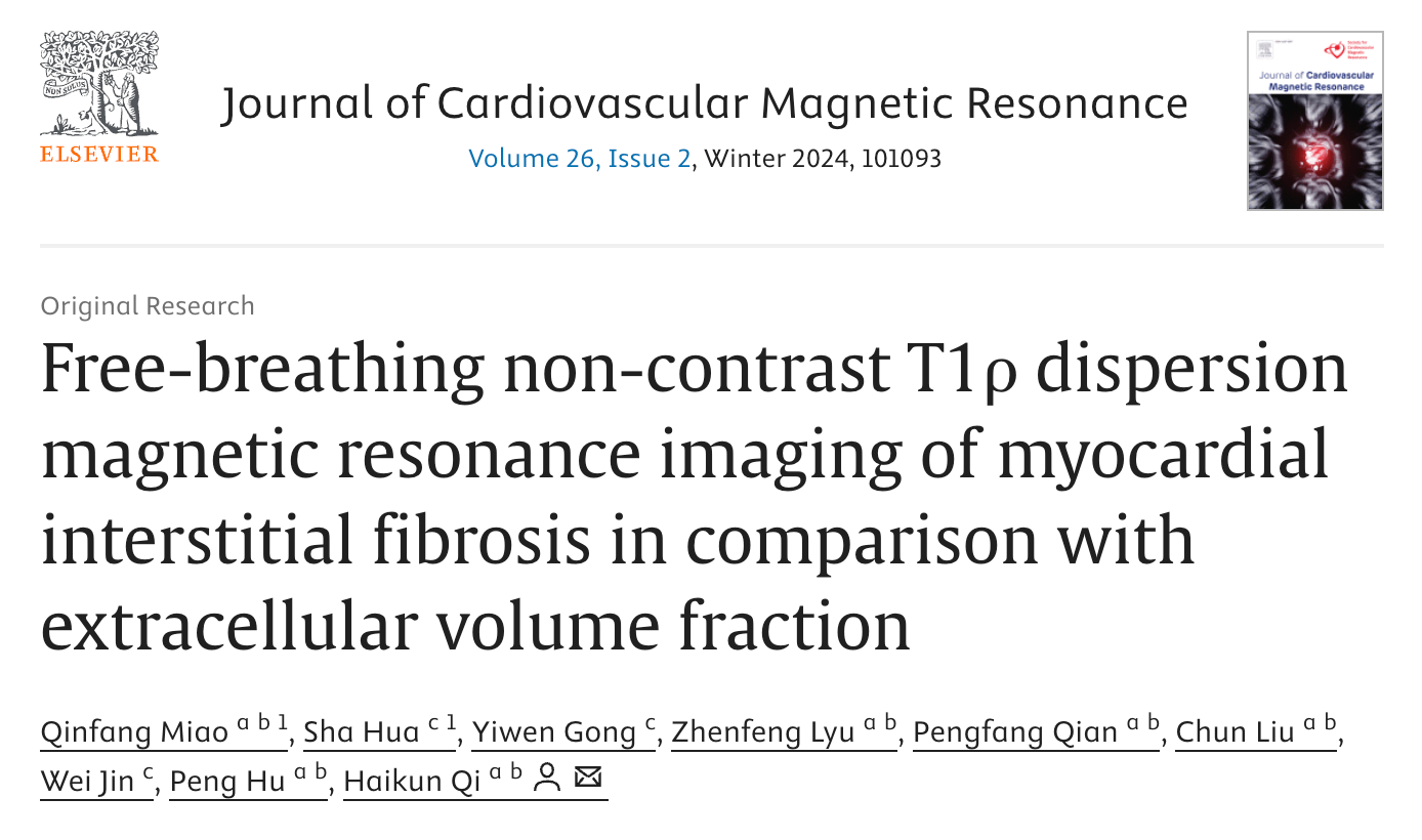 Publication 1